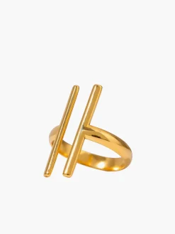Geometric Open Ring