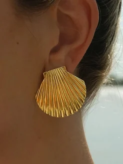 Golden Shell Stud Earrings