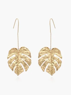 Leaf Drop Earnings