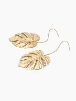 Leaf Drop Earnings