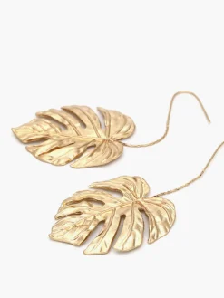 Leaf Drop Earnings