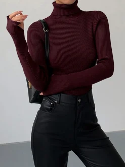 Minimalist Turtleneck Slim Knit Top