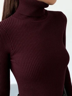 Minimalist Turtleneck Slim Knit Top