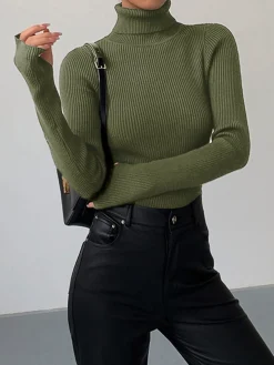 Minimalist Turtleneck Slim Knit Top