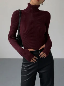 Minimalist Turtleneck Slim Knit Top