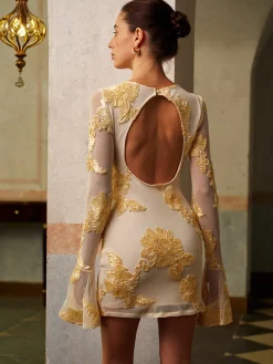 Romance Floral Backless Mesh Dress