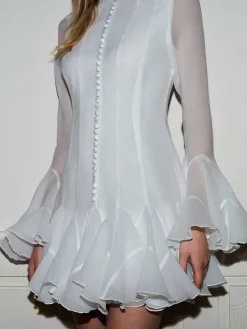 Romance Ruffle Sheer Dress