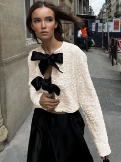 Sequined Velvet Bowknot Decor Blouse
