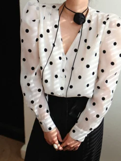 Sheer Polka Dot Blouse