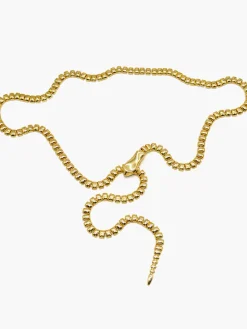 Snake Shape Belt