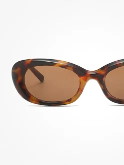 Tortoiseshell Rounded Sunglasses