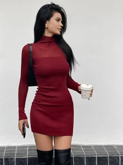 Tulle Sheer Panel Sweater Dress