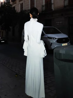 Turtleneck Ruffle Sleeve Long Dress