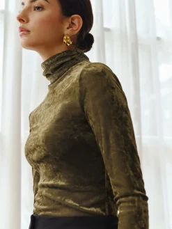Turtleneck Semi-Sheer Velvet Top