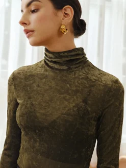 Turtleneck Semi-Sheer Velvet Top