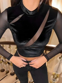 Velvet Panel Sheer Crop Blouse